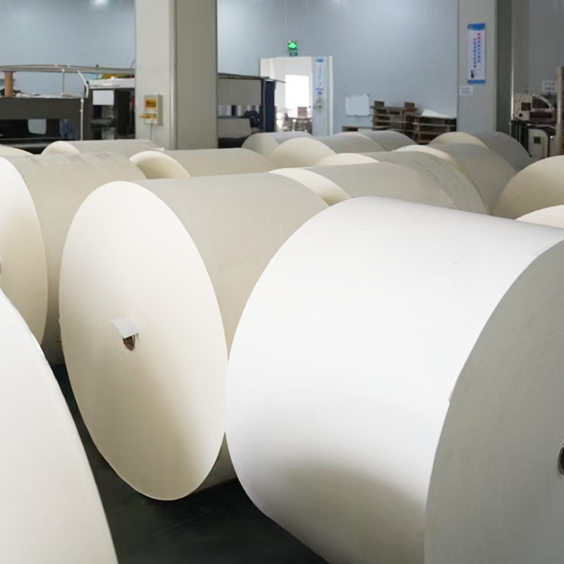 Carta inferiore compostabile a tazza rivestita in plastica